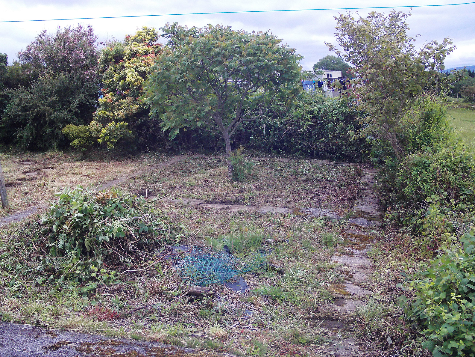 Bottom of garden after de-weeding